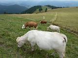 2009-09-18 (19) Belchen